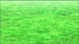 Captain Tsubasa Jr Youth Arc (Hindi) - Season 02 Episode 27